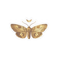Sanctuary Relic Sticker