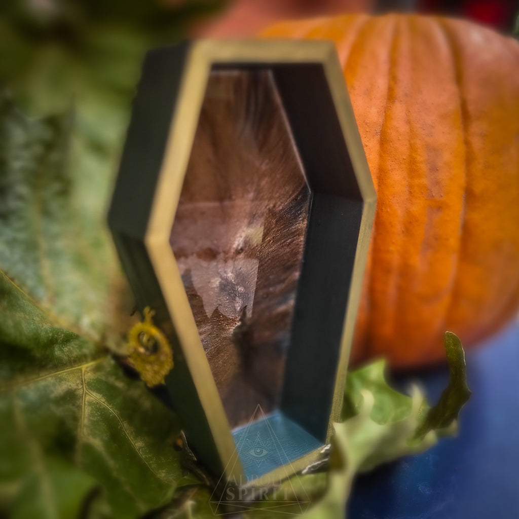 Tray - COFFIN
