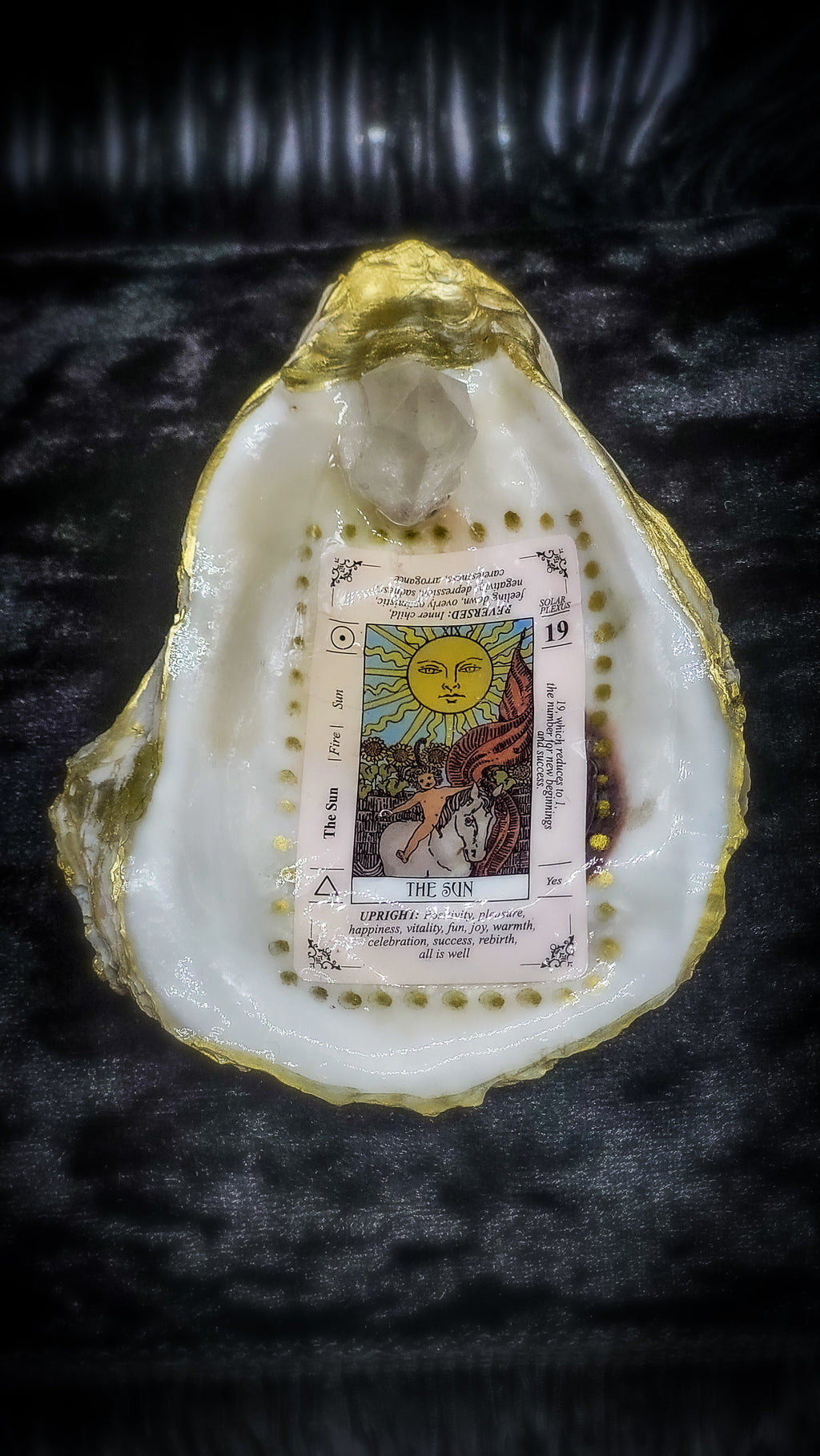 Shell Dishes - X LARGE