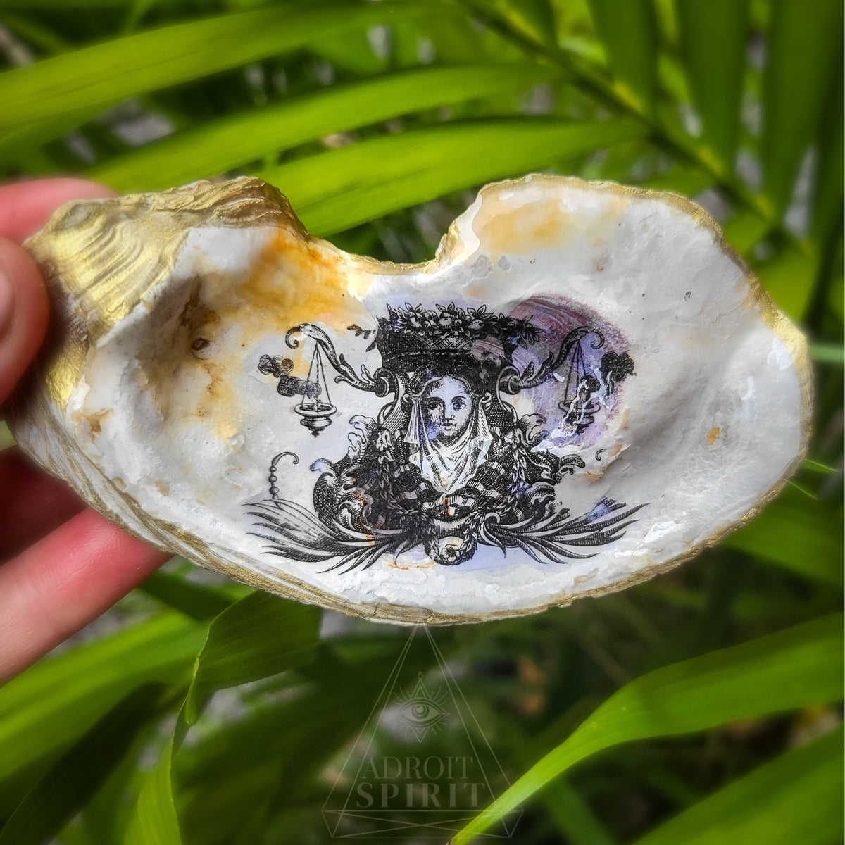 Shell Dishes - LARGE